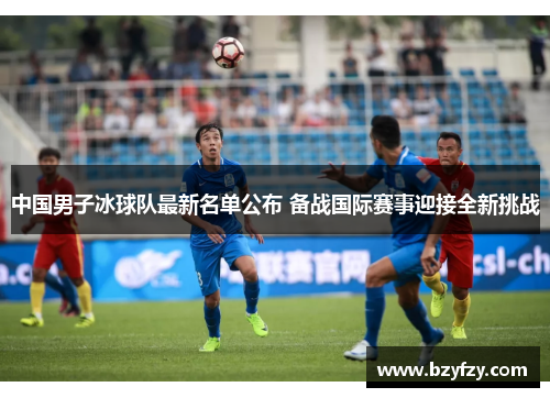 中国男子冰球队最新名单公布 备战国际赛事迎接全新挑战